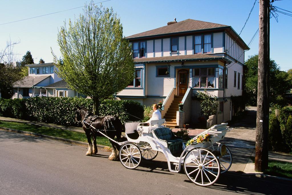 Marketa'S Bed And Breakfast Вікторія Екстер'єр фото